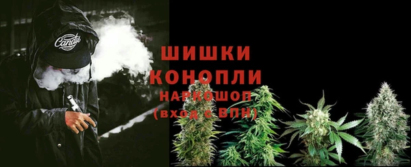 молекула духа Краснослободск