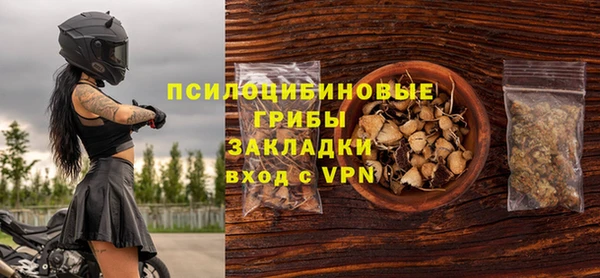 молекула духа Краснослободск