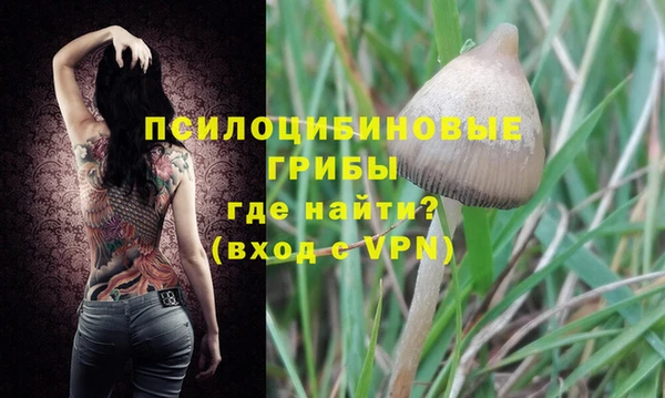 молекула духа Краснослободск