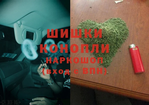 молекула духа Краснослободск