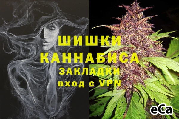 молекула духа Краснослободск