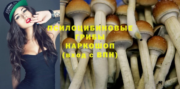 стаф Краснотурьинск