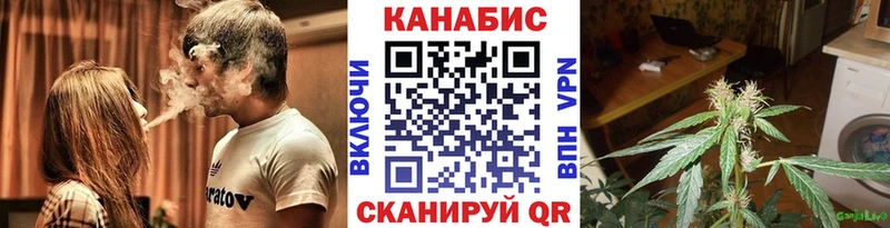 где можно купить наркотик  МЕГА ССЫЛКА  Бошки Шишки тримм  Мурманск 